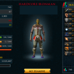 ⭐️Dragon Longsword | Hcim | 743 Total | 85 QP | 20 Year Veteran | Hardcore Ironman | No Email Registered 0